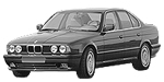 BMW E34 P0409 Fault Code